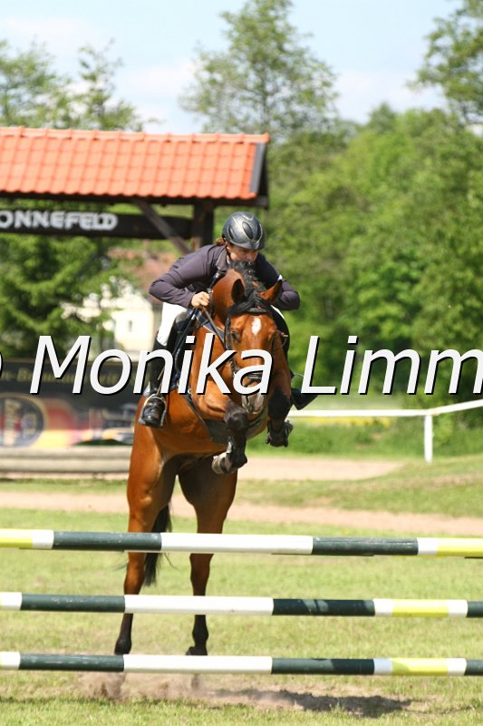 204M3293_Love me_Springpfe_Axx.JPG